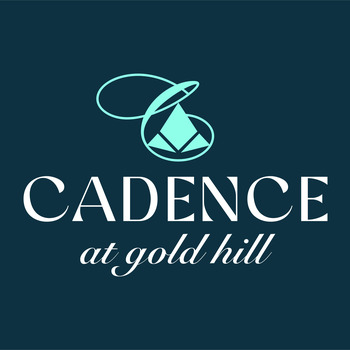 Large square cadence logo cmyk