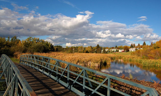 Canalta Camrose | Go East of Edmonton