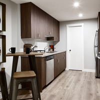 Medium basement suite kitchen