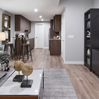 Medium basement suite