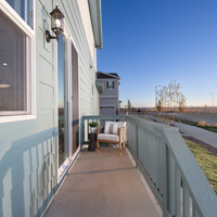 Medium plan 2 woodrose painted prairie web  16 