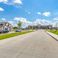 Medium north grove  5 of 24 