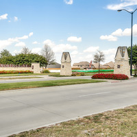 Medium north grove  24 of 24 