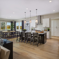 Medium 2342 13 pl3 kitchen thetrails newhomeco ericfiggephotos