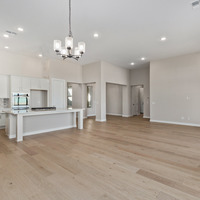 Medium gourmet kitchen and great room