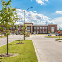 Medium north grove  7 of 24 