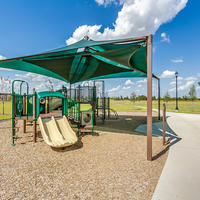 Medium north grove  11 of 24 