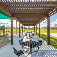 Medium north grove  2 of 24 