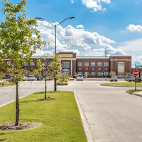 Medium north grove  7 of 24 
