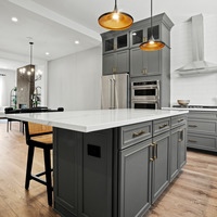 Medium 523 fulton fulton cambridge indy rama kitchen 3