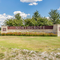 Medium north grove  22 of 24 