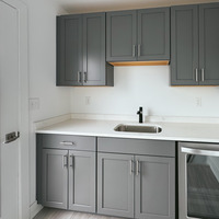 Medium 1310colerepl colere madrona wetbar