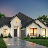 Medium chandler a9 1