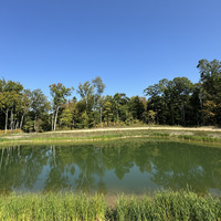 Medium flora pond min