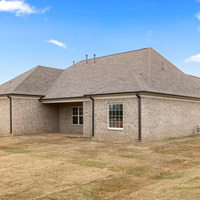 Medium rear side