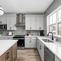 Medium 1214alabama nouveau rittenhouse kitchen pro 15