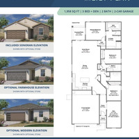 Medium arroyo grande lily 3513
