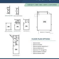 Medium arroyo grande lily 35132