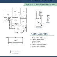 Medium arroyo grande orchid 44162