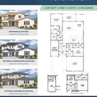 Medium arroyo grande orchid 4416