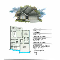 Medium brookdale a iv front