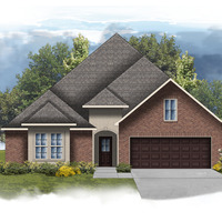 Medium sycamore a elevation