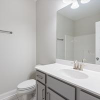 Medium hall bathroom