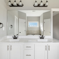 Medium master vanity