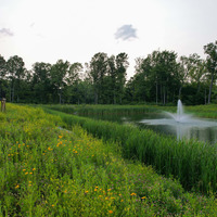 Medium flora pond
