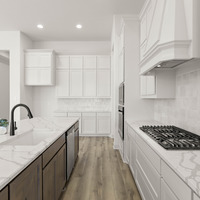 Medium 17 2605 steve kitchen 3