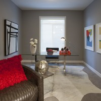 Medium d flex room