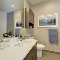 Medium 1588693444 750w 500h all showsuite7 600x550