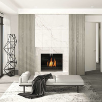 Medium 970 597 adi penthouse living room fireplaceb