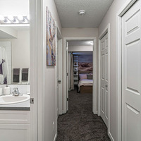 Medium silver springs show suite hallway