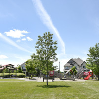 Medium 27 mahogany major ross chamberlain park