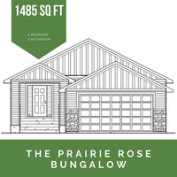 Medium prairie rose