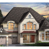 Medium silverthorn b