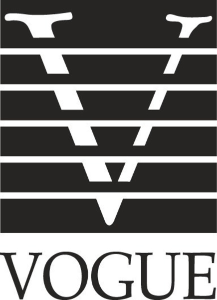 The Vogue Development Group Inc.